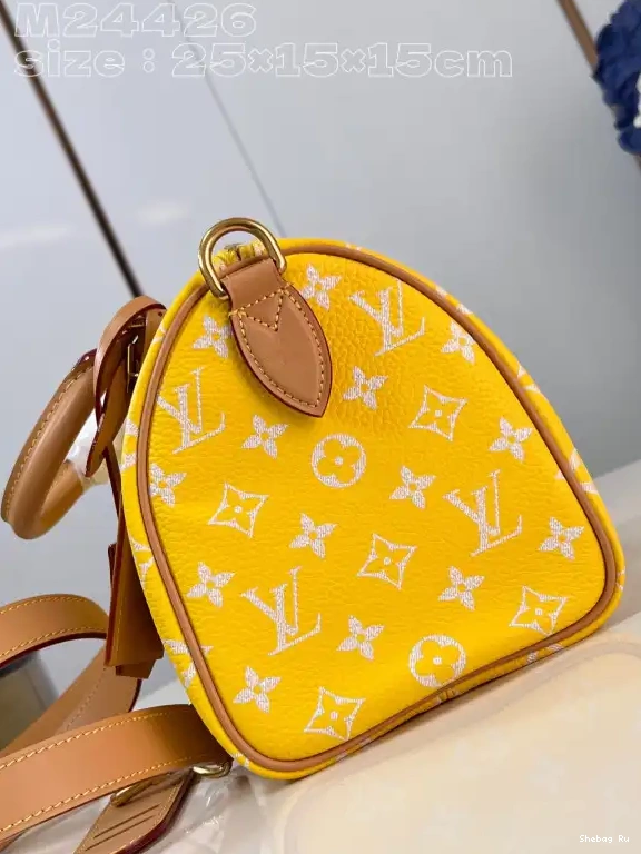 Louis Vuitton SPEEDY 25 0613